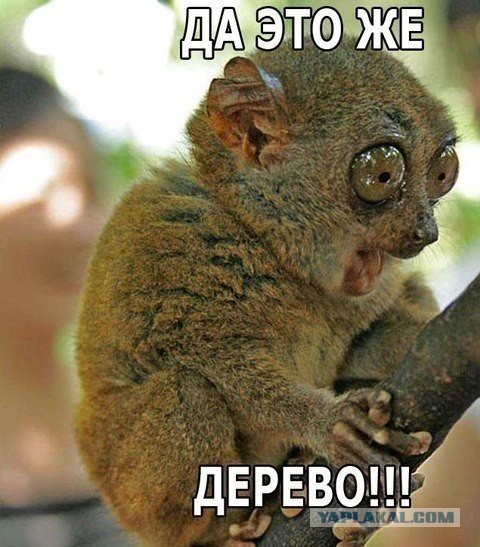 А вот еще анекдот...