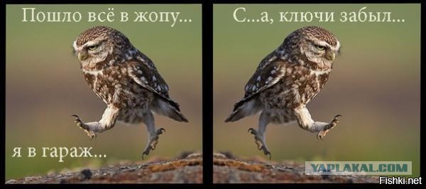 Смешные комментарии из социальных сетей 21.10.2016