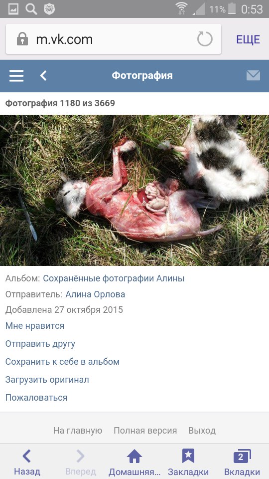 Живодерки из Хабаровска