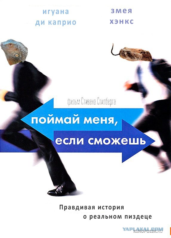 Детёныш морской игуаны борется за жизнь, спасаясь от десятка змей