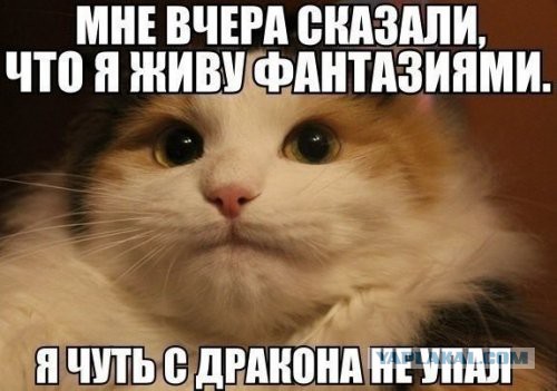 Смешные картинки из сети