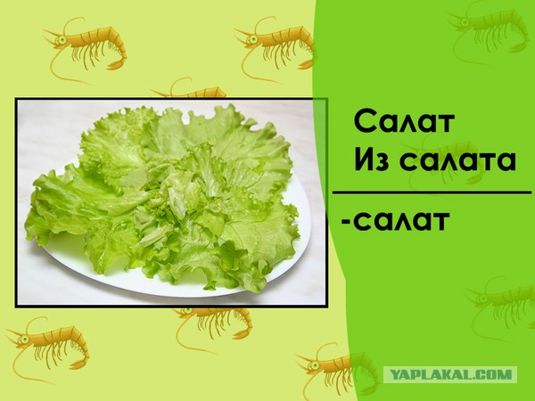 Современные девушки - неумехи?