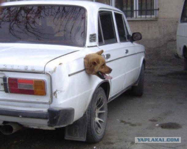 В Тольятти сфотографировали Lada Vesta в новой топовой версии Exclusive