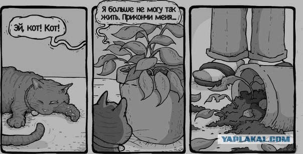 Это не я!