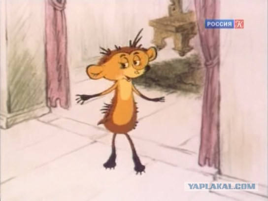 Лысый Ёжик