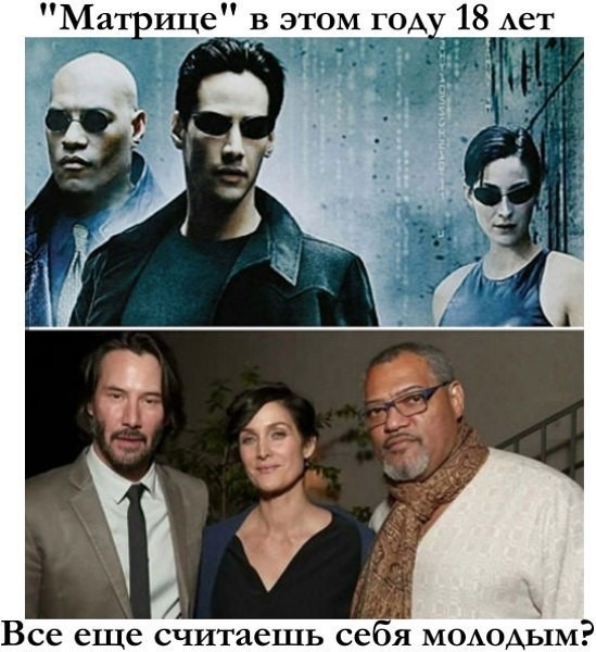 Прикольные картинки 30.06.2017.