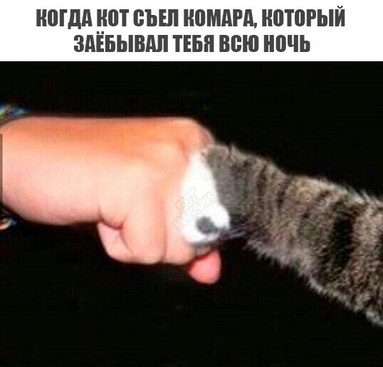Картинки в понедельник