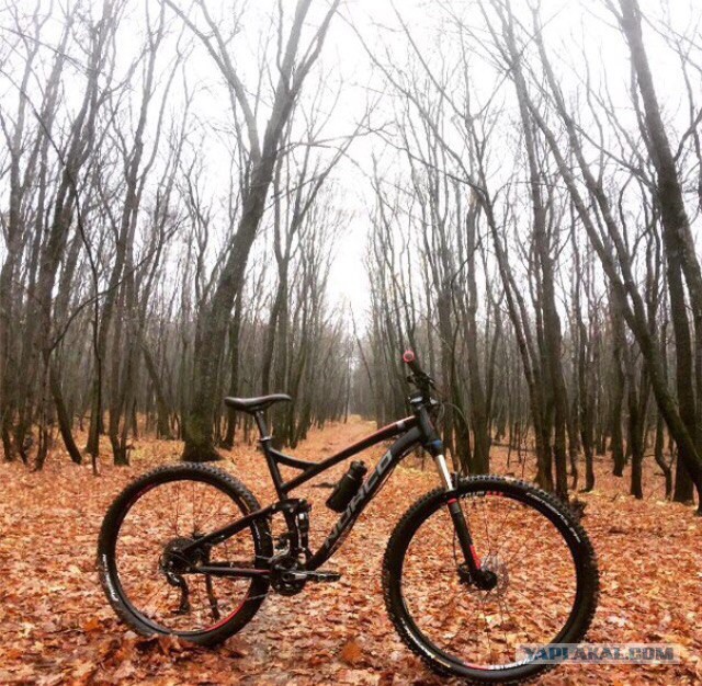 Берлога холостяка в гаражах Нового Уренгоя