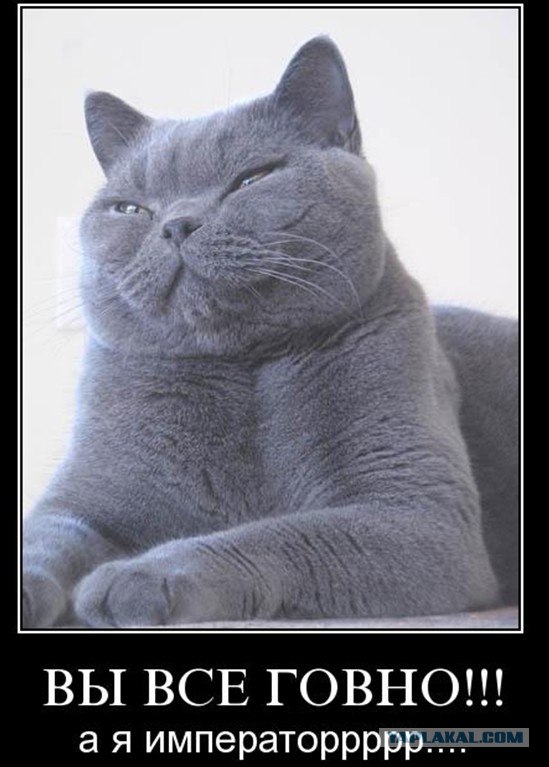 Откуда так много принцесс?