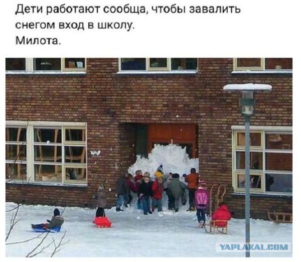 Подборка интересных и веселых картинок