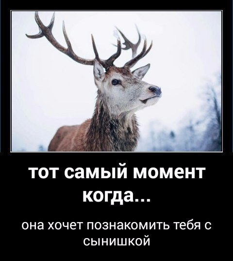 Как выглядят отношения с РСП с точки зрения пилота.