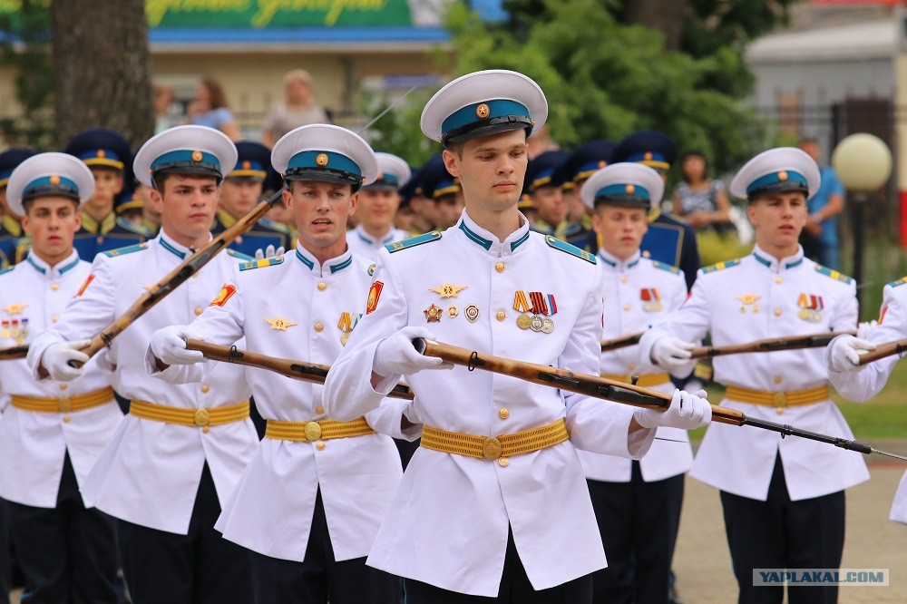 ладожский многопрофильный техникум. белореченский колледж техникум. краснодарский край училище после 9 класса. краснодарский край училище после 9 класса. президентское кадетское училище в краснодаре.
