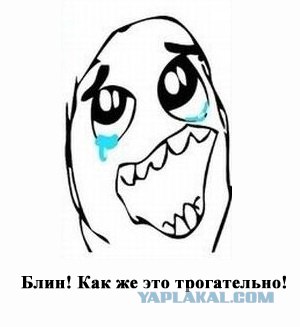 Домашняя "киса"