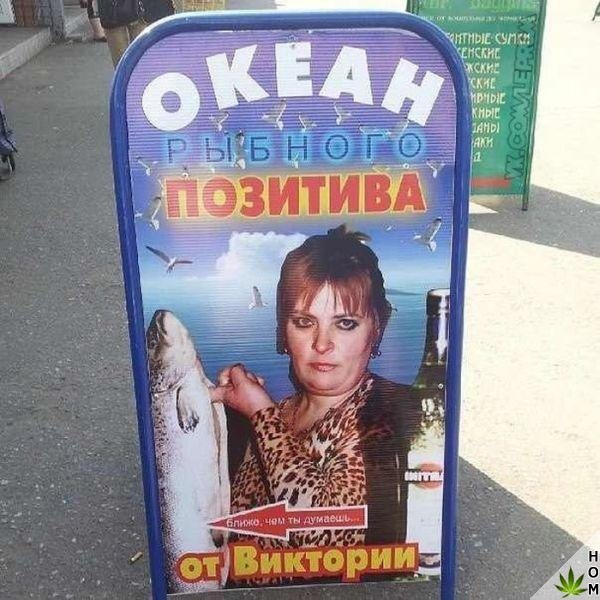Прикольные надписи и объявления