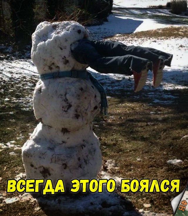 Прикольные картинки абавсём