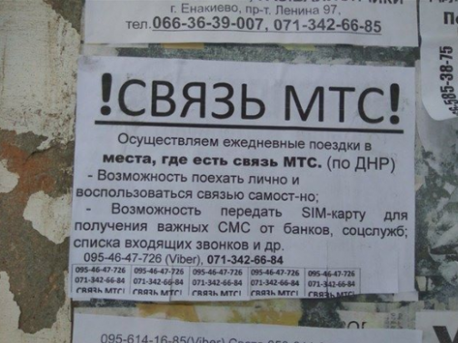 Деревья Донбасса