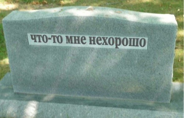 Дичь