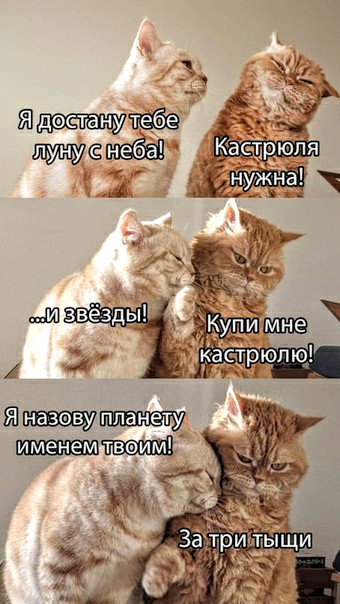 Немного картинок для настроения 18.05.20