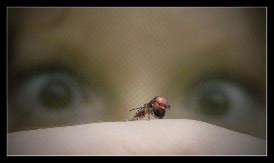 Фотожаба: Вот это, да !