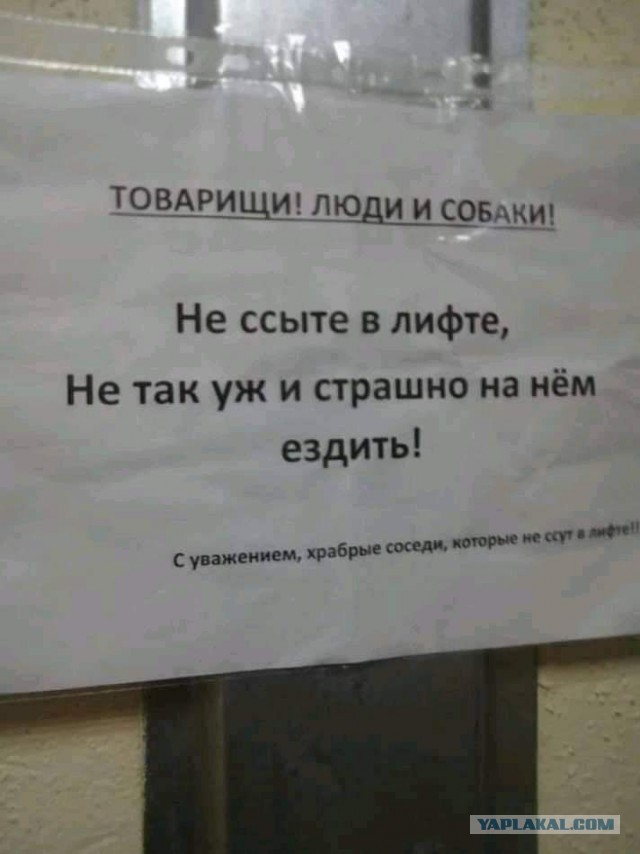Бредзона 15.07.20