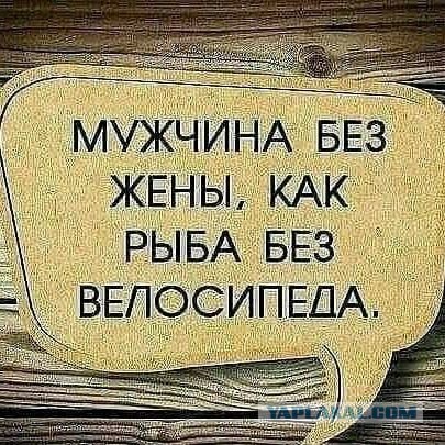 Почему умные мужчины избегают ЗАГСа