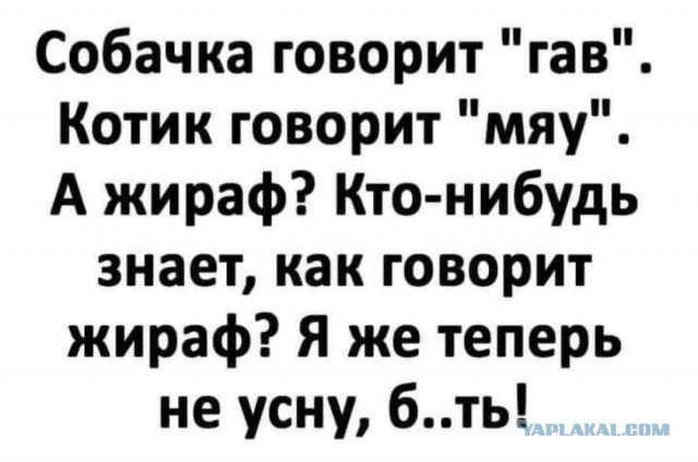 Бредзона 03.11.2020