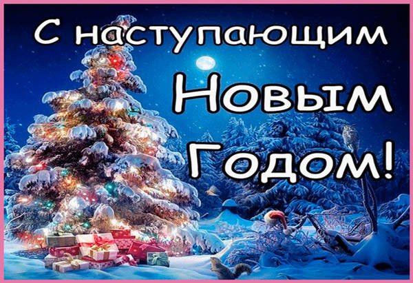 С*ка. Началось.