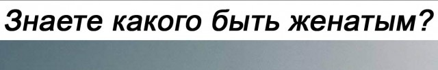 11 мемасиков про животных и отношения