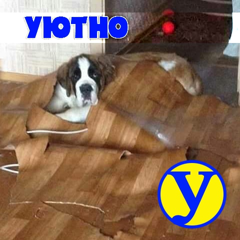Картинки и мемы для настроения 019