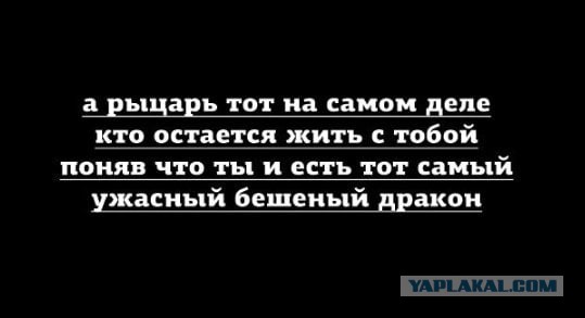 Свинегрет: картинки, надписи и прочее на 20.02.21 или №30