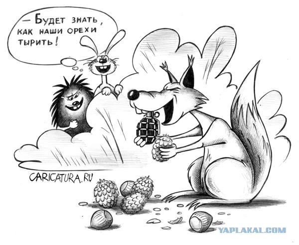 Киевская белочка