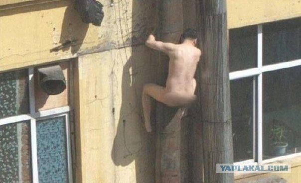 Неожиданно вернулась жена