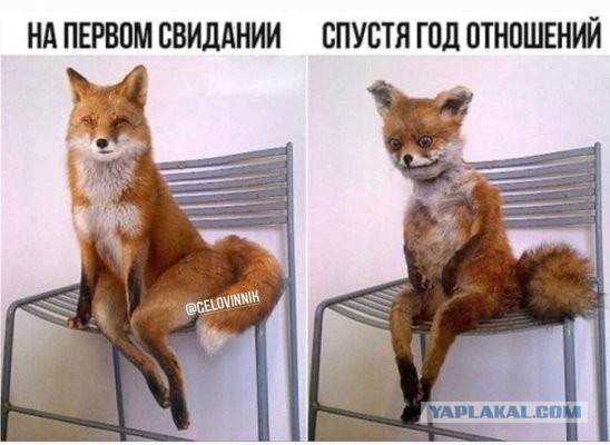 Так себе юмор 2021.07.08