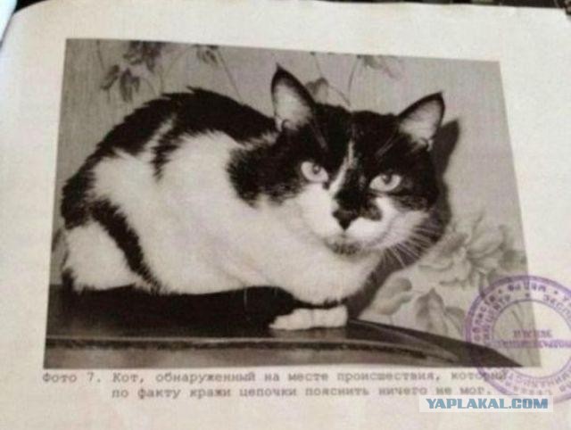 Котяра на стукача не подписался
