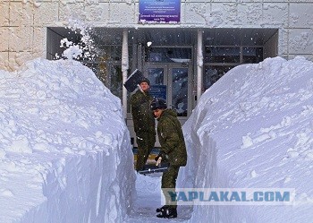Делаем теплый двор