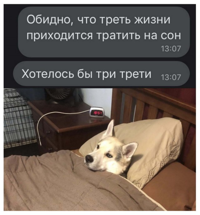 Весёлый полтишок 01.04