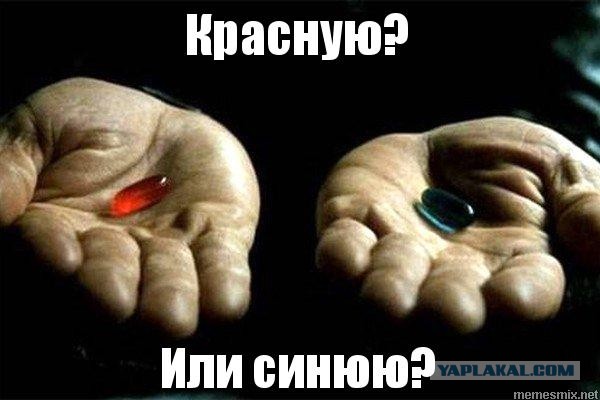 Это точно реальность?