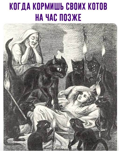 Картинки и мемы для настроения - 27