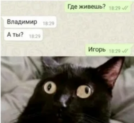 Забавные комментарии из социальных сетей (16.05.22)