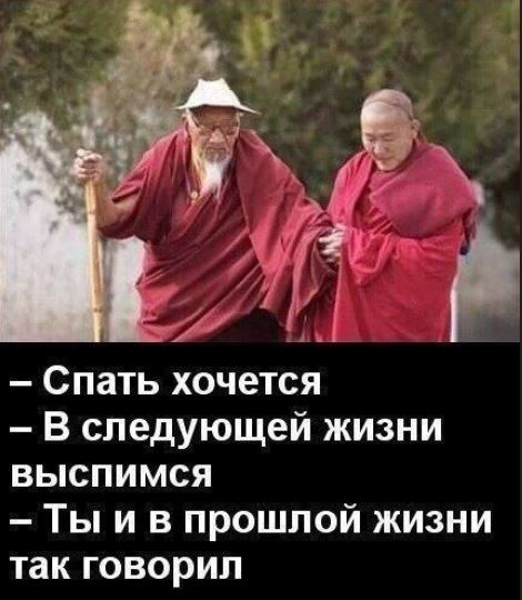 Весёлый полтишок 19.05.22
