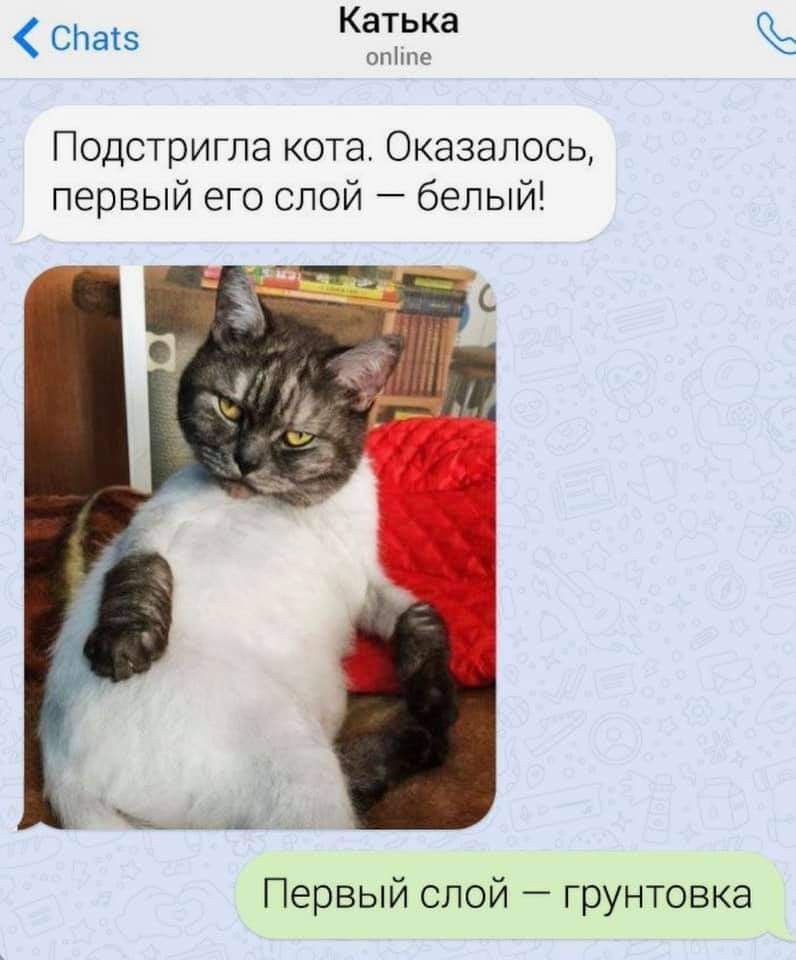 16842502.jpg