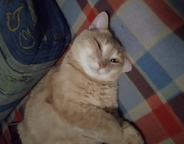 Вот и я стал рабом