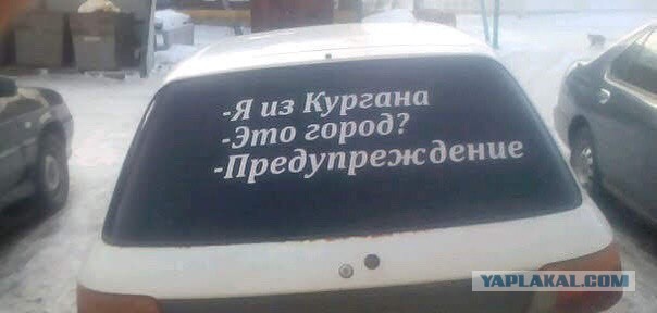 Курганский губернатор Вадим Шумков ликвидировал Чеченскую и Азербайджанскую диаспоры.