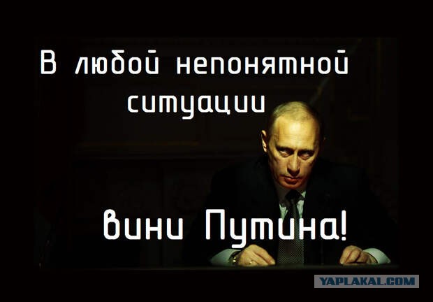 Девушка рассказала про незабываемый опыт общения с детишками ценных специалистов.