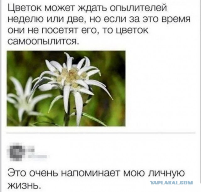 Проклятый возраст для знакомств 30+⁠⁠