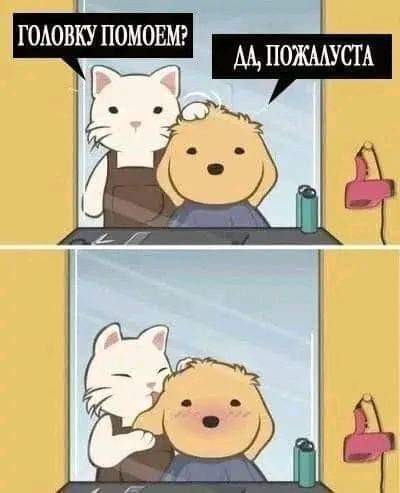Завалялось тут случайно немного забавных картинок