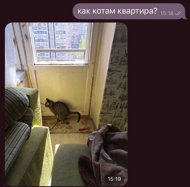 Всего понемногу. От 08.01.2025