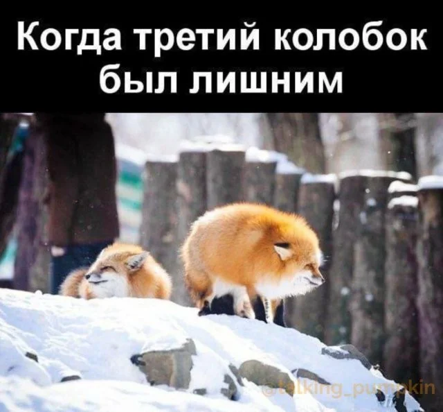 Юмор для тех, кто уже повзрослел и понял, что счастье — это когда никто не звонит