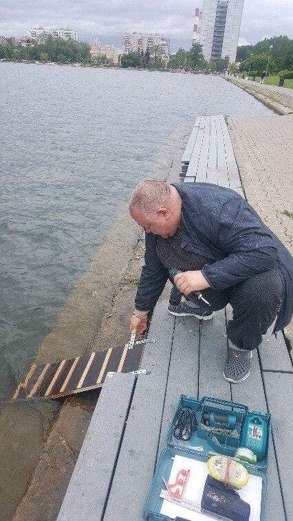 Маленькие лестницы для котеек и ёжиков установили вдоль каналов Амстердама