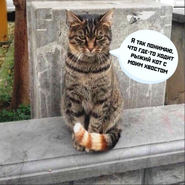 Изумление